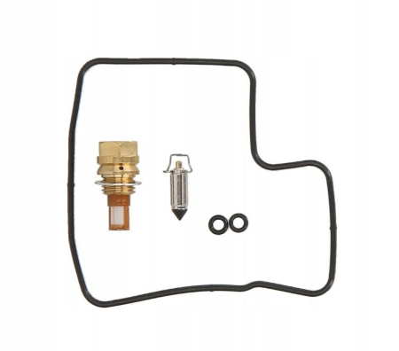 Kituri reparație carburator - 