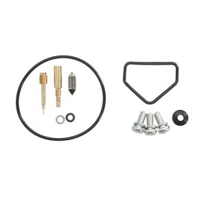 Kituri reparație carburator - 