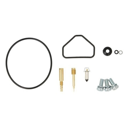 Kituri reparație carburator - 