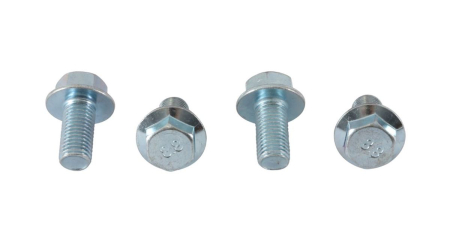 Prezoane și piulițe roți - ALL BALLS - suruburi roata fata / spate M10 x 1,25 Arctic Cat, Can-Am, Polaris outlaw/predator/SCRAMBLER/SPORTSMAN - vezi descriere suplimentara