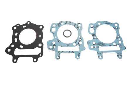 Standard - ARTEIN GASKETS - set garnituri top-end APRILIA LEONARDO 125 '96-'01, LEONARDO ST 125 '01-'04, SCARABEO 125 '99-'03 (ROTAX)