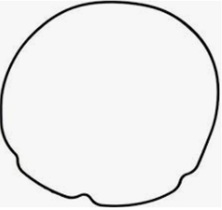 Garnitură capac ambreiaj - ATHENA - garnitura capac ambreiaj exterioara BETA 350 RR '14-'19, OEM 006010410000