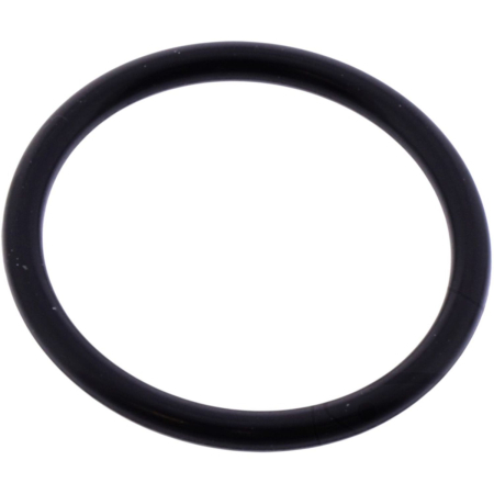 PIESE DE SCHIMB - ATHENA - garnitura intinzator lant distributie (O-RING) (19 X 23 X 2MM) HONDA, KAWASAKI, SUZUKI oem: 91301P7X003; 920551308; 92055086; 92055077; KK92055086; 0928019001)