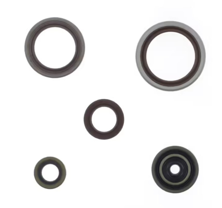 Garnituri individuale - ATHENA - set simeringuri motor BETA RR 250 / 300 RR RACING '13-'26 (ZASTEPUJE P400060400011)