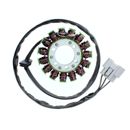 Bobinaje (statoare) și rotoare - ELECTROSPORT - Stator  BMW S 1000RR 09-17, BMW S 1000RR 13-17, HP4 12-15