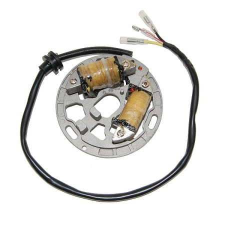 Bobinaje (statoare) și rotoare - ELECTROSPORT - Stator  cu lumini KAWASAKI KDX 200 (89-05), KDX 220R (97-05)