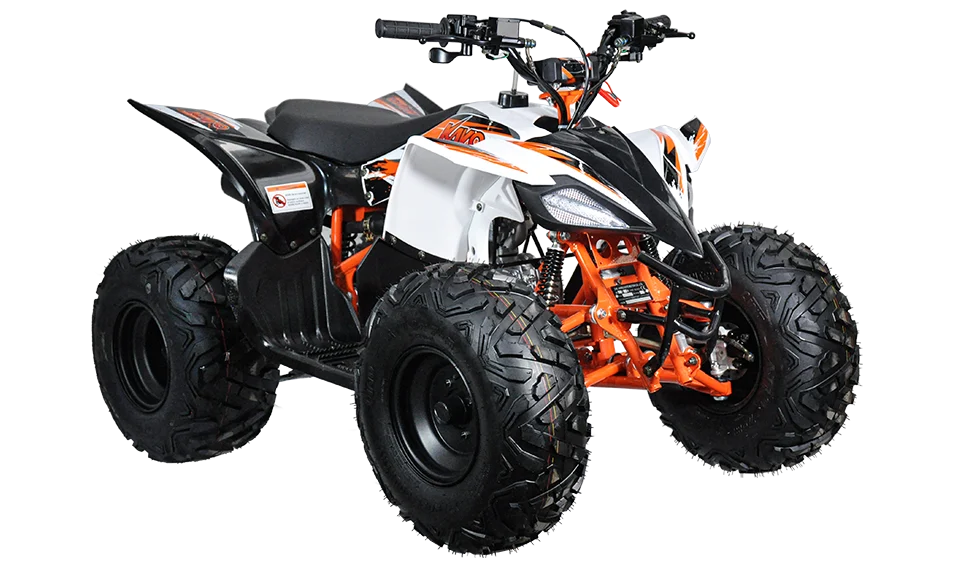 KAYO - ATV copii AT110 2x4 [4T] [1]