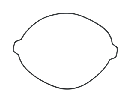 Garnituri individuale - NAMURA - garnitura capac ambreiaj KTM SX 250 17-23, EXC 250 17-23, HUSQVARNA TC/TE 250, TE/TX 300 17-23 - ZEWNETRZNA - OEM 55430027000 - O-RING