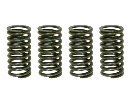 Arcuri ambreiaj - PSYCHIC - arcuri ambreiaj KAWASAKI KDX 200 '05-'06, HONDA NX 250R '88-'90 (EBS030)