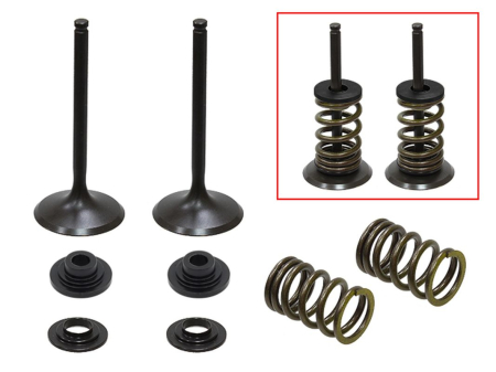 KIT CU ARCURI ȘI TALERE  SUPAPE DE EVACUARE PSYCHIC - PSYCHIC - Supape  admisie (complet 2 buc. supape ZE arcuri si saibe) SUZUKI RMZ 450 '08-'15, RMX 450 '10-'14 STALOWE (MX-09527I) (35,9X5,48X81,9 mm)