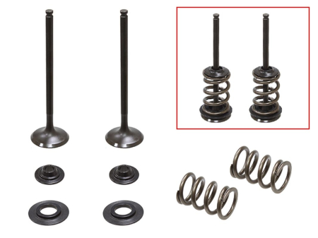 KIT CU ARCURI ȘI TALERE  SUPAPE DE EVACUARE PSYCHIC - PSYCHIC - Supape  Evacuare  (complet 2 buc. supape ZE arcuri si saibe) HUSABERG FE 250 '13, KTM EXCF 250 '08-'14 (MX-09551E)