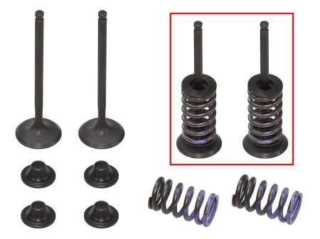 KIT CU ARCURI ȘI TALERE  SUPAPE DE EVACUARE PSYCHIC - PSYCHIC - Supape  Evacuare  (complet 2 buc. supape ZE arcuri si saibe) YAMAHA WRF 250 '15-'23, YZF 250 '14-'23, YZF 250 FX '15-'18 (MX-09553E)