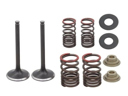 KIT CU ARCURI ȘI TALERE  SUPAPE DE EVACUARE PSYCHIC - PSYCHIC - Supape  Evacuare  (Kit  ZE arcuri si saibe) HONDA CRF 250 F '19-'24 STALOWE