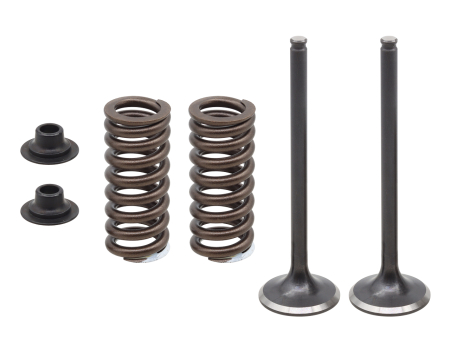 KIT CU ARCURI ȘI TALERE  SUPAPE DE EVACUARE PSYCHIC - PSYCHIC - Supape  Evacuare  (Kit  ZE arcuri si saibe) HONDA CRF 250R '16-17 STALOWE (14721-KRN-B10)