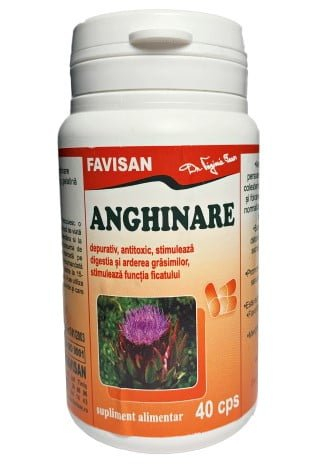 ANGHINARE, 40 capsule, Favisan [1]