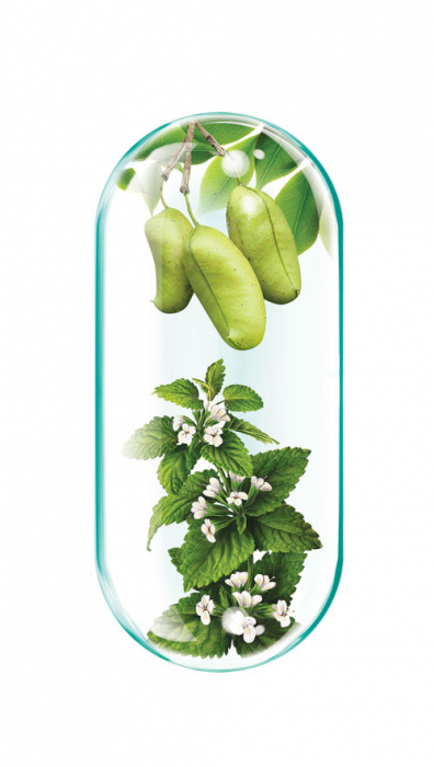 5 HTP Armonie, 240mg, 60 capsule, Rotta Natura [2]