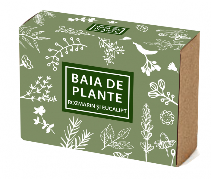 Sapun natural Rozmarin si Eucalipt, 100gr, Baia de plante [1]