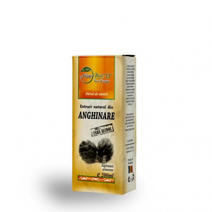 Extract natural din Anghinare, 200 ml (fara alcool) - NATURAPLANT [1]