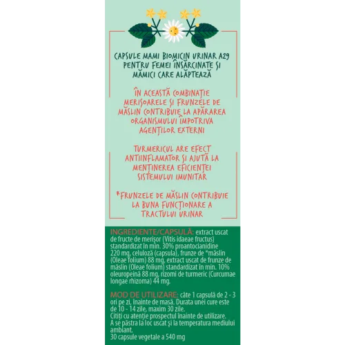 BIOMICIN URINAR Mami si Bebe A29, femei însărcinate și mămici care alăptează, 30 capsule, Fares [2]