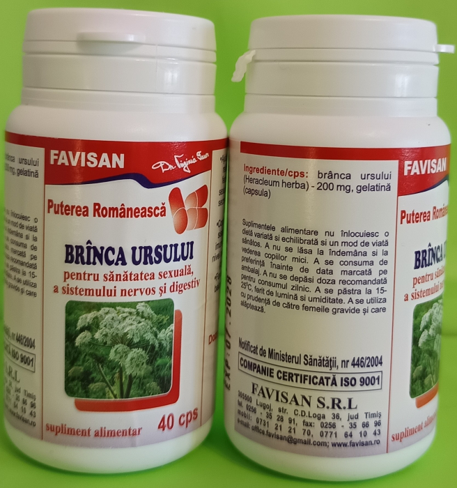 Branca ursului, 40 capsule, Favisan [3]