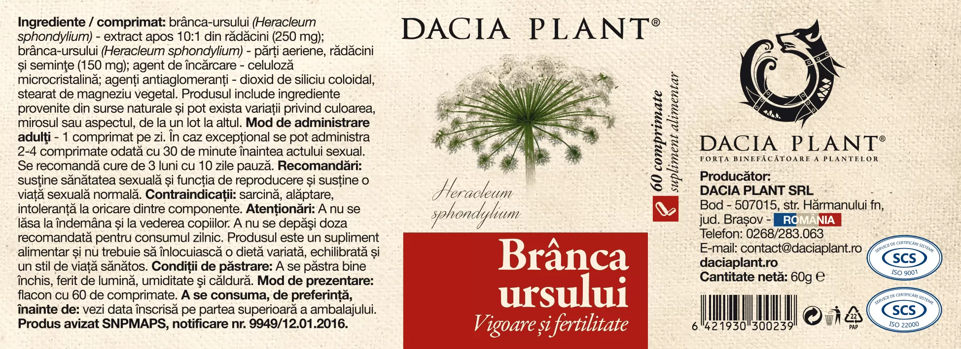 BRANCA URSULUI, 60 comprimate, Dacia Plant la Nana Plafar [2]