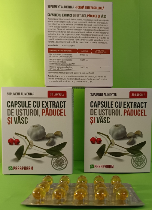 CAPSULE cu EXTRACT de USTUROI Paducel  Vasc, 30 capsule, Parapharm [2]