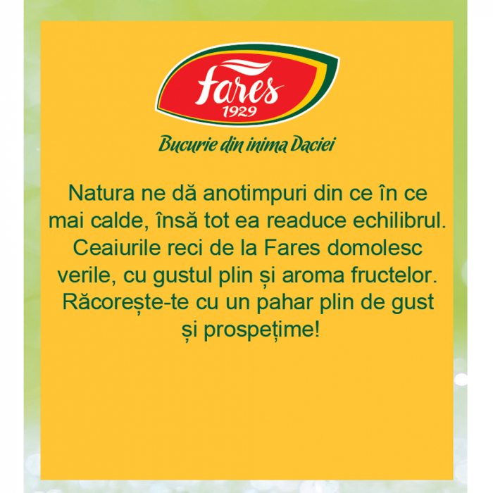 Ceai rece, 12 plicuri, Fares [2]