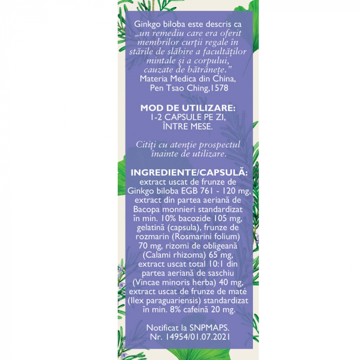 CIRCULATIE CEREBRALA si MEMORIE, fares [2]