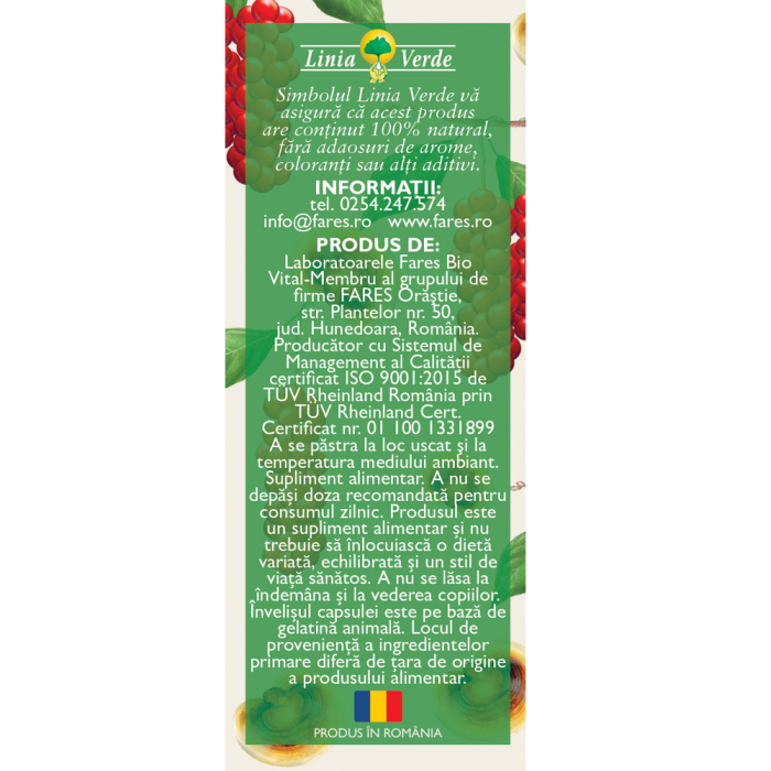 Detoxifiant cu Ganoderma, P127, 63 capsule, Fares   la Nana Plafar [2]