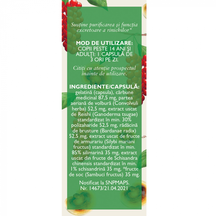 Detoxifiant cu Ganoderma, P127, 63 capsule, Fares [3]