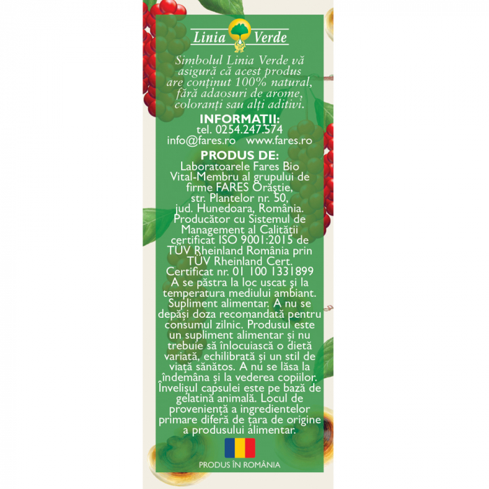 Detoxifiant cu Ganoderma, P127, 63 capsule, Fares [2]
