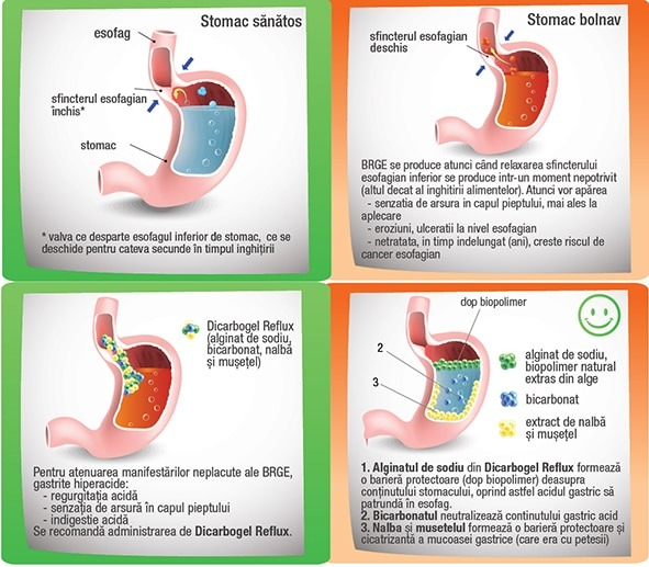 DIGASTROGEL REFLUX Arsuri gastrice si Indigestie acida, 30 comprimate masticabile, BioSunLine Helcor [2]