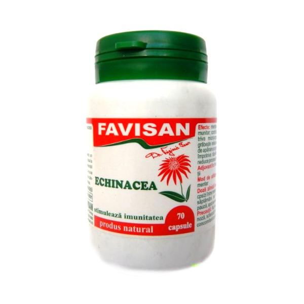 Echinacea, 70  capsule, Favisan [1]