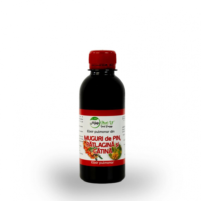 Elixir pulmonar din Muguri de Pin, Patlagina si Catina - NATURAPLANT [1]