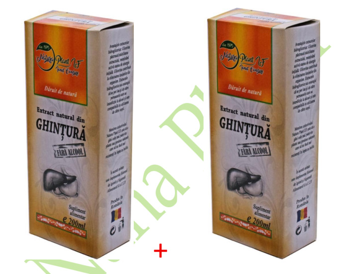 Extract din Ghintura, 200 ml (fara alcool) - NATURA PLANT [4]