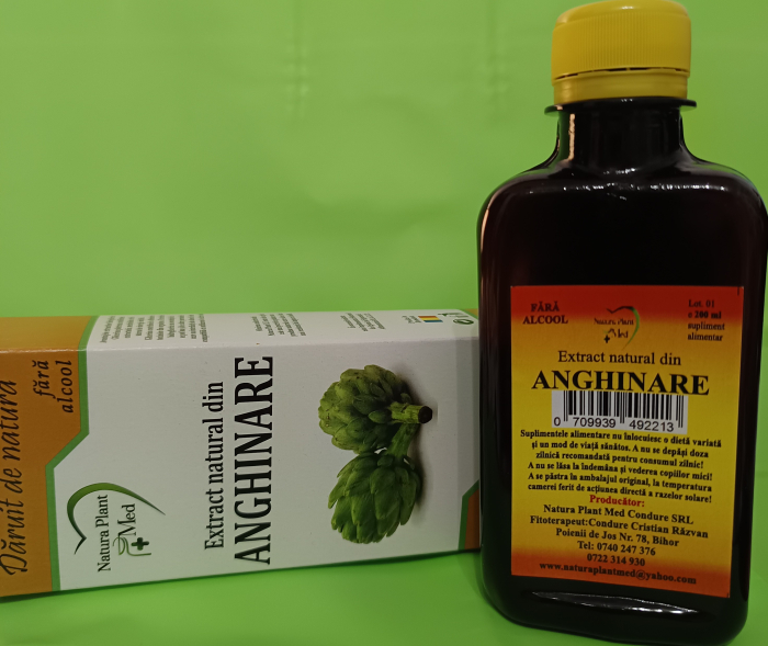Extract natural din Anghinare, 200 ml (fara alcool) - NATURAPLANT la Nana Plafar [2]