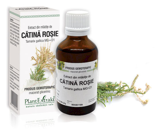 EXTRACTE GEMOTERAPICE cu CATINA ALBA, CATINA ROSIE, 50 ml, PlantExtrakt la Nana Plafar [4]