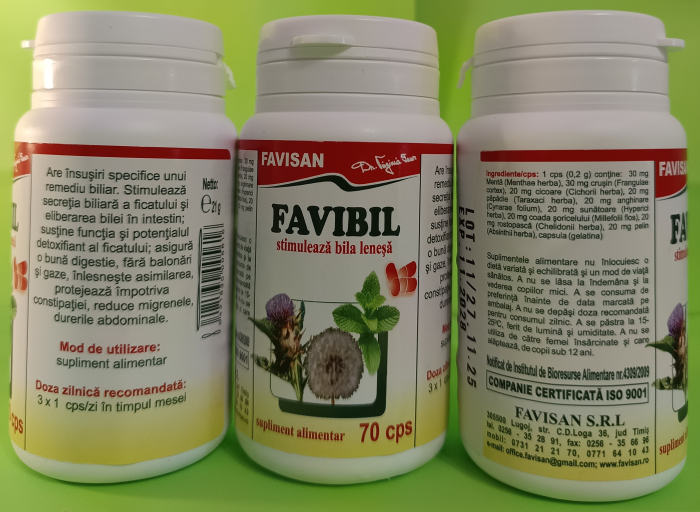 Favibil, 70 capsule, Favisan [2]