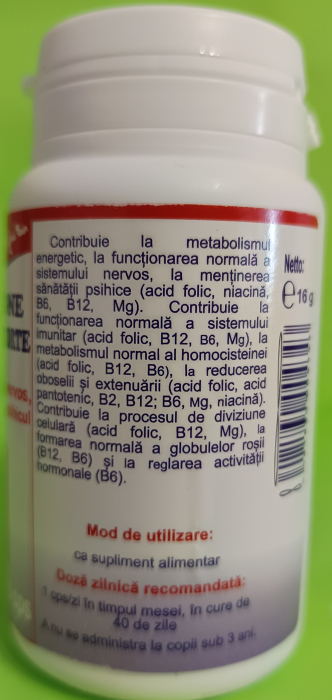 FaviMagne B complex forte, 40 capsule, Favisan [2]