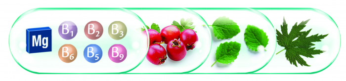 FITOCARDIN FORTE, 30 capsule, Rotta Natura [2]