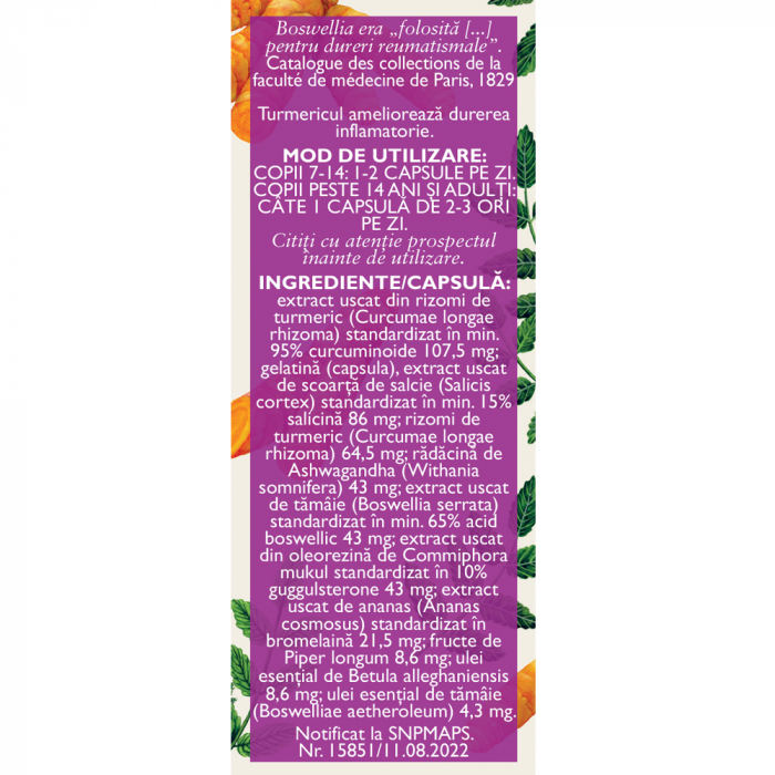 FITODOLOR L99, 30 capsule, Fares [2]