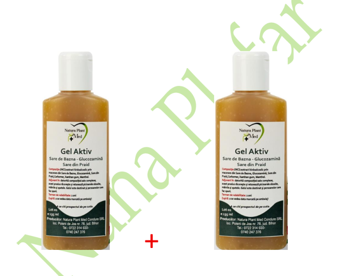 Gel aktiv Sare de Bazna + Glucozamina – Sare din Praid – Salcie – Untul Pamantului - NATURAPLANT [2]