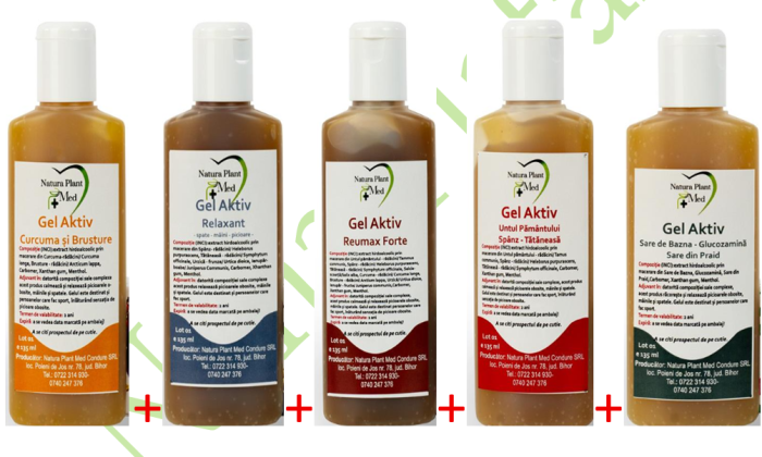 Gel aktiv Sare de Bazna + Glucozamina – Sare din Praid – Salcie – Untul Pamantului - NATURAPLANT [3]