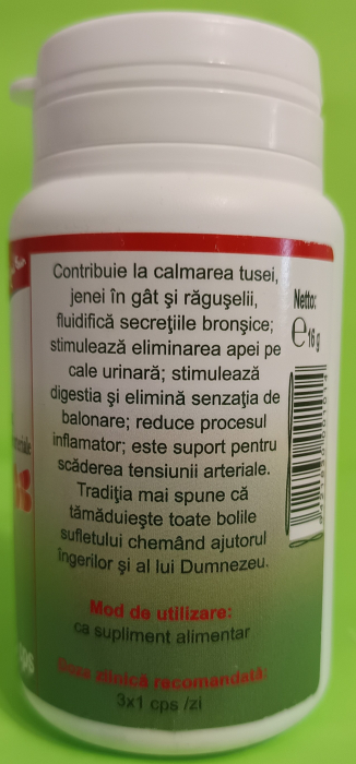 Isop, 40 capsule, Favisan [2]