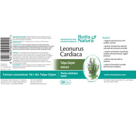 LEONURUS CARDIACA FORTE TALPA GASTEI EXTRACT, 30 capsule, Rotta Natura [2]