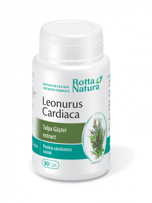 LEONURUS CARDIACA FORTE TALPA GASTEI EXTRACT, 30 capsule, Rotta Natura [1]