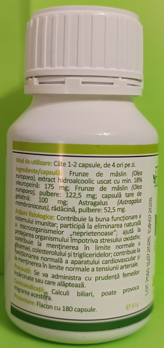 MASLIN Extract Forte 100% natural 180 capsule, Health Nutrition la nana plafar [2]