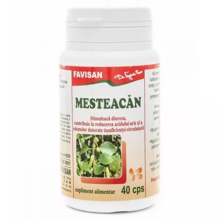 MESTEACAN 300mg, 40 capsule, Favisan [1]