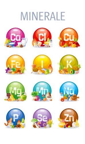 MINERALVIT JUNIOR (copii si adolescenti), 40 capsule, Favisan la Nana Plafar [3]