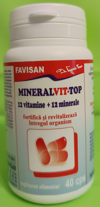 Mineralvit Top 40 capsule, FAVISAN [2]